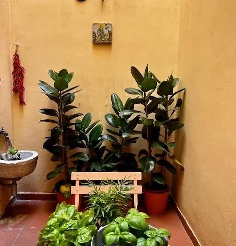 La Casa Dei Librai * Napels