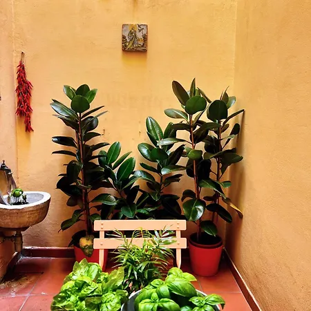 Apartamento La Casa Dei Librai Nápoles